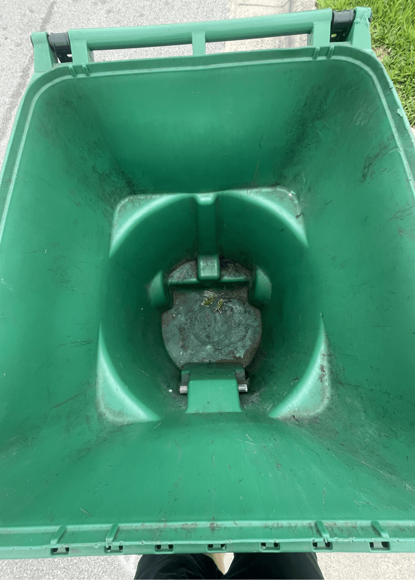 Looking down into the empty, scuffed interior of a large green plastic waste disposal bin.